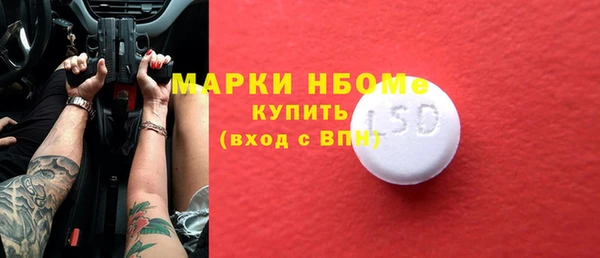 индика Горняк