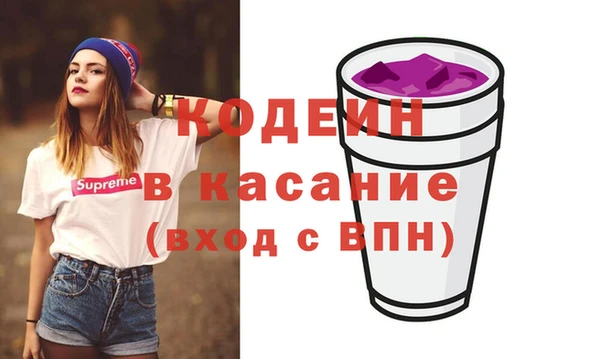 индика Горняк