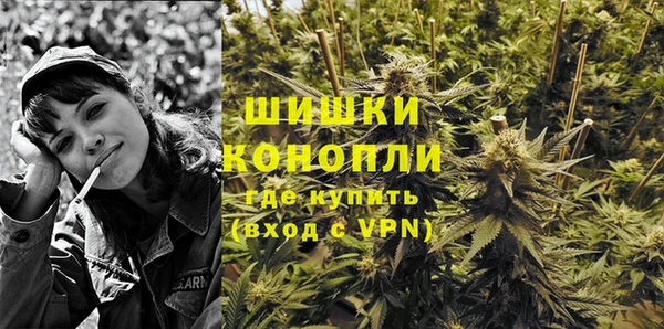 индика Горняк