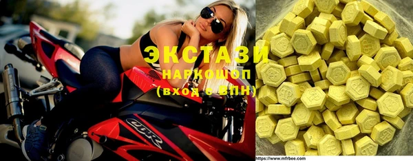 индика Горняк