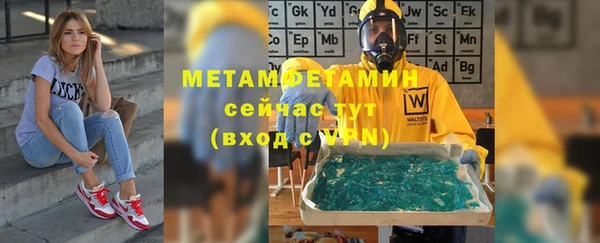 индика Горняк